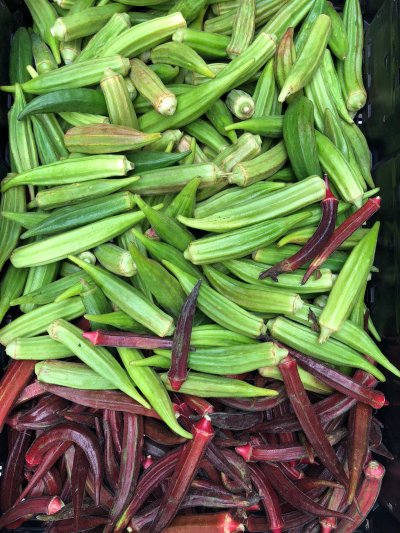 Purple and green okra from Covey Rise Farms